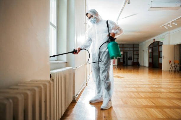 Best Organic or Eco-Friendly Pest Control  in Wayne, MI